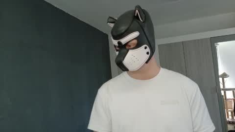 Snapshot of white_pup chatting on 21, 4, 2026 white_pup online show from 21, 4, 2026