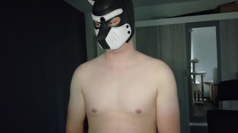 Snapshot of white_pup chatting on 4, 5, 2026 white_pup online show from 4, 5, 2026