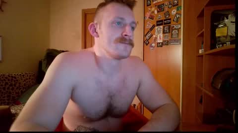 Snapshot of whitebull97 chatting on 8, 2, 2026 WhiteBull online show from 8, 2, 2026