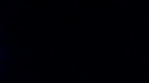 whitehead_lion online show from 29, 1, 2025