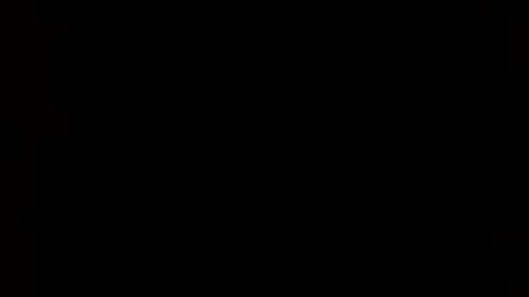 whitehead_lion online show from 24, 2, 2025