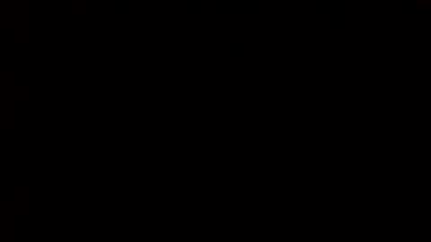 whitehead_lion online show from 1, 3, 2025