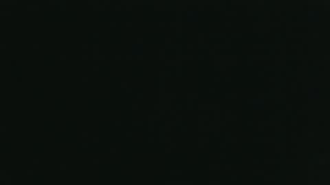 whitehead_lion online show from 26, 10, 2025