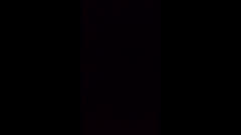 whodunnitwrangler online show from 4, 3, 2026