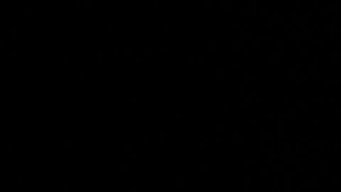 WhoDat online show from 26, 3, 2026