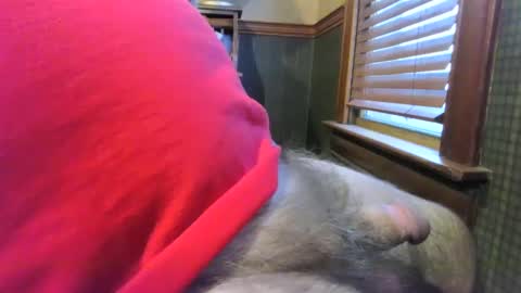 Snapshot of whydog chatting on 4, 1, 2025 whydog online show from 4, 1, 2025