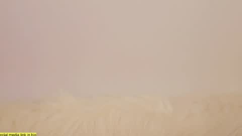 wild_schoolgirl online show from 13, 1, 2025