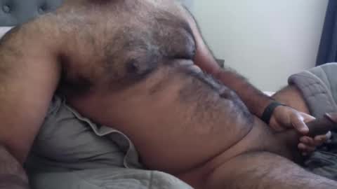 wildhungry online show from 1, 12, 2025