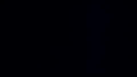 wildman3845 online show from 22, 12, 2024