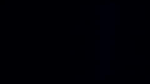 wildman3845 online show from 29, 12, 2024