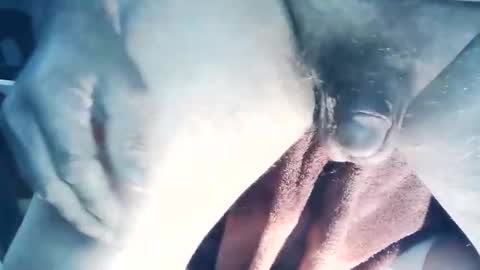 wildman6 online show from 22, 3, 2026