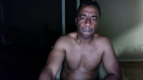 wildnight007 online show from 26, 12, 2024