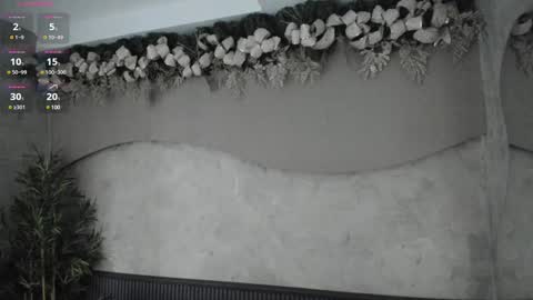 Snapshot of willow_hendrix chatting on 29, 12, 2024 Ms Willow online show from 29, 12, 2024