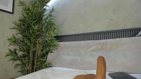 Snapshot of willow_hendrix chatting on 24, 2, 2025 Ms Willow online show from 24, 2, 2025