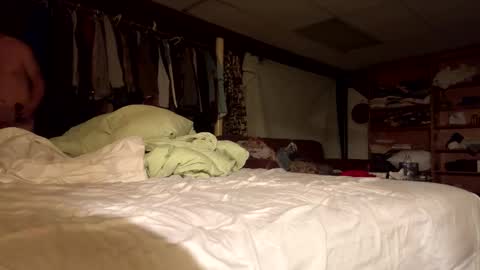 Snapshot of willy_dirk chatting on 8, 11, 2025 willy_dirk online show from 8, 11, 2025