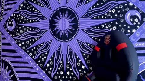 willy_veins online show from 3, 12, 2024