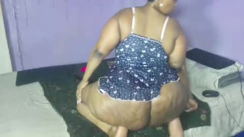 wilmaassylum online show from 21, 9, 2025