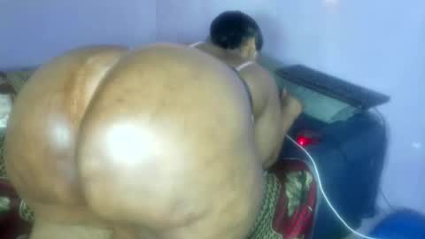 wilmaassylum online show from 14, 11, 2025