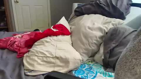 witchbitchmommy online show from 18, 3, 2026