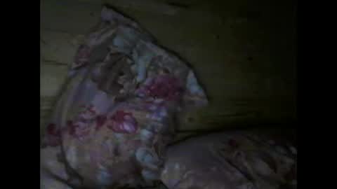 Vili online show from 15, 4, 2026