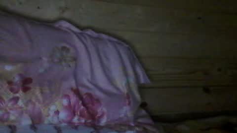 Snapshot of wolfvili chatting on 17, 7, 2026 Vili online show from 17, 7, 2026