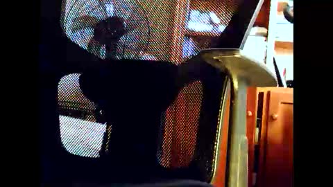 Snapshot of woodyforyou2 chatting on 19, 1, 2026 woodyforyou2 online show from 19, 1, 2026