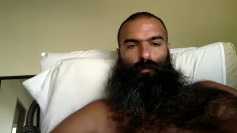 woof_wolf37 online show from 17, 9, 2025