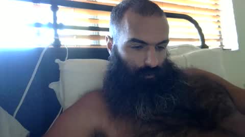 woof_wolf37 online show from 15, 10, 2025