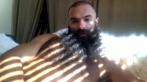 woof_wolf37 online show from 12, 3, 2026