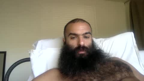 woof_wolf37 online show from 19, 3, 2026