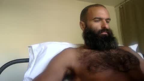 woof_wolf37 online show from 29, 5, 2026