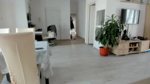 Wolfie online show from 25, 11, 2025