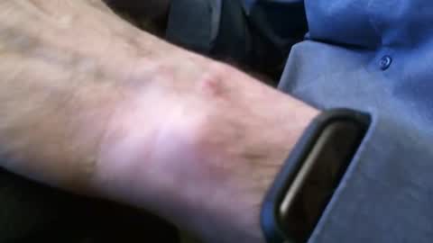 wrangleat0r online show from 3, 3, 2026