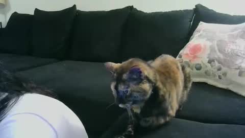 Crystal Lake online show from 15, 10, 2025