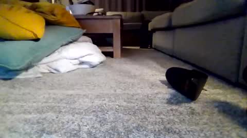 Snapshot of wyndir chatting on 15, 11, 2025 wyndir online show from 15, 11, 2025