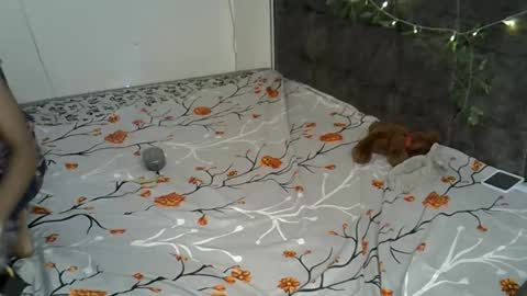 Alexa online show from 17, 11, 2025