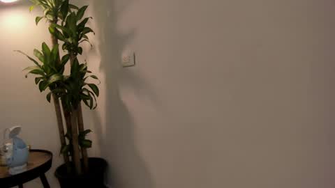 Snapshot of xander_hot7 chatting on 20, 2, 2025 xander_hot7 online show from 20, 2, 2025