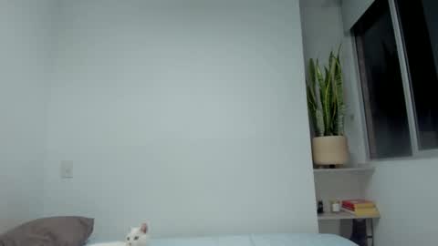 Xavier online show from 28, 9, 2025