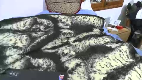 xaxi3 online show from 10, 1, 2026