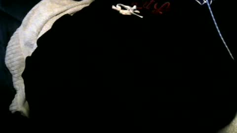 Snapshot of xbigtymerx chatting on 12, 12, 2024 Toke online show from 12, 12, 2024