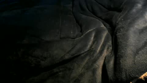 Snapshot of xbigtymerx chatting on 6, 1, 2025 Toke online show from 6, 1, 2025