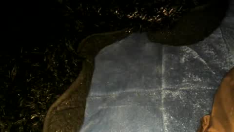 Snapshot of xbigtymerx chatting on 22, 1, 2025 Toke online show from 22, 1, 2025