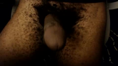 xentric777 online show from 26, 7, 2026