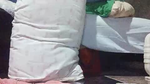 xhotskinny69x online show from 5, 3, 2025