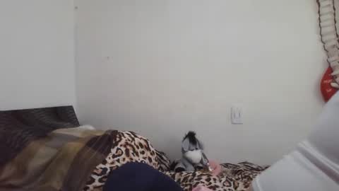 Snapshot of xime5144838 chatting on 16, 2, 2025 Ximena online show from 16, 2, 2025