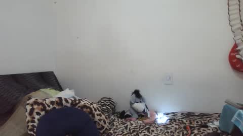 Snapshot of xime5144838 chatting on 17, 2, 2025 Ximena online show from 17, 2, 2025