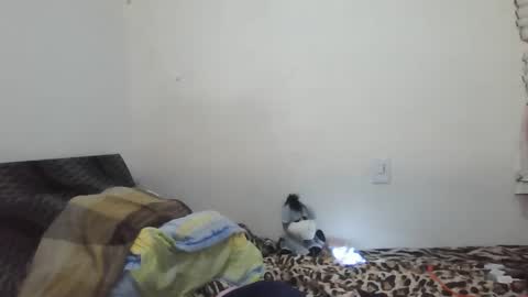 Snapshot of xime5144838 chatting on 23, 2, 2025 Ximena online show from 23, 2, 2025