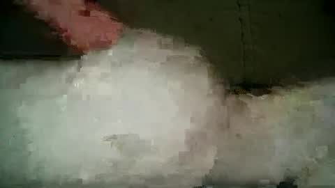 Wendy online show from 5, 3, 2025