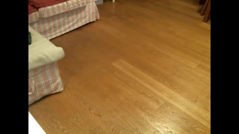 Snapshot of xmystiqdreamsx chatting on 26, 1, 2025 xmystiqdreamsx online show from 26, 1, 2025