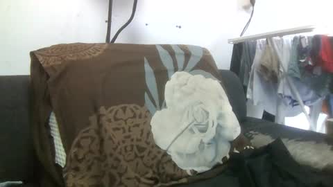 Snapshot of xsimx05 chatting on 17, 6, 2026 xsimx05 online show from 17, 6, 2026